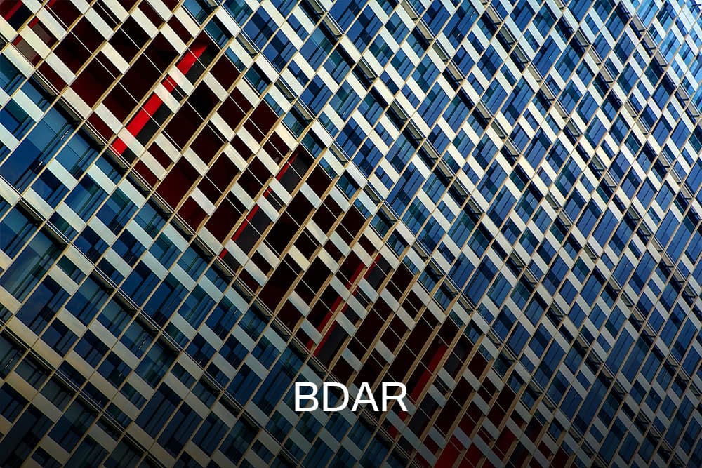 BDAR (1)