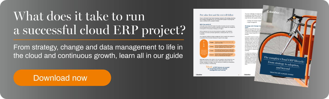 guide for successful cloud erp project